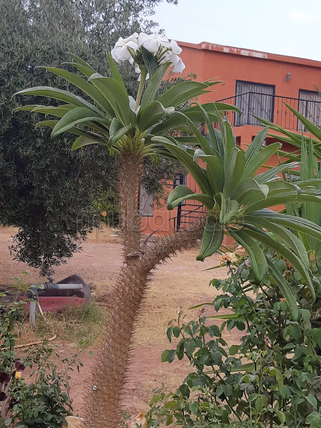 Petite ferme titrée