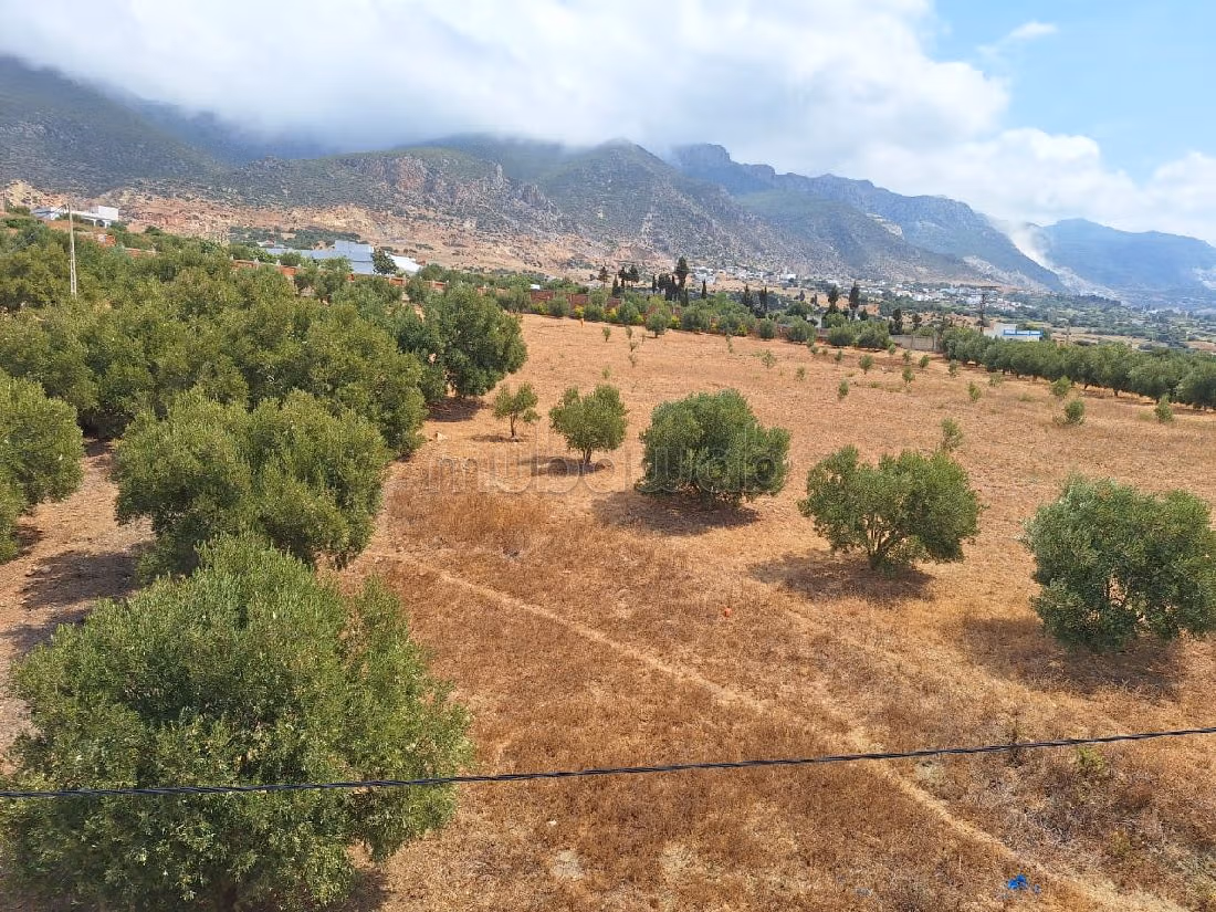 Terreno en venta. Gran superficie 11000 m².