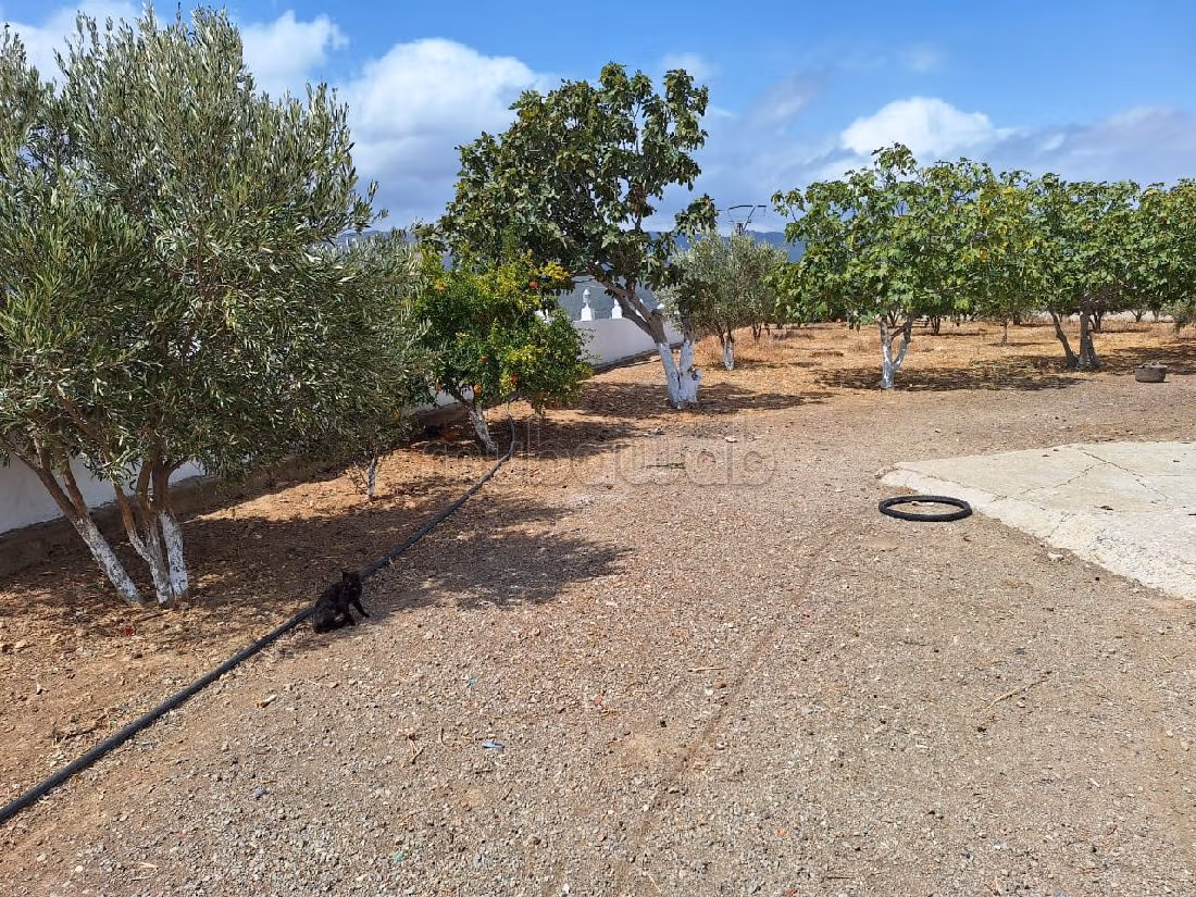 Terreno en venta. Gran superficie 11000 m².