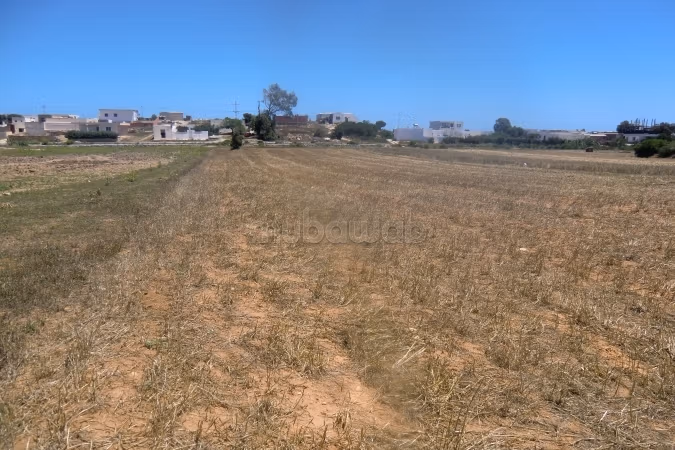 80dt le m2 lotissement pres de la plage
