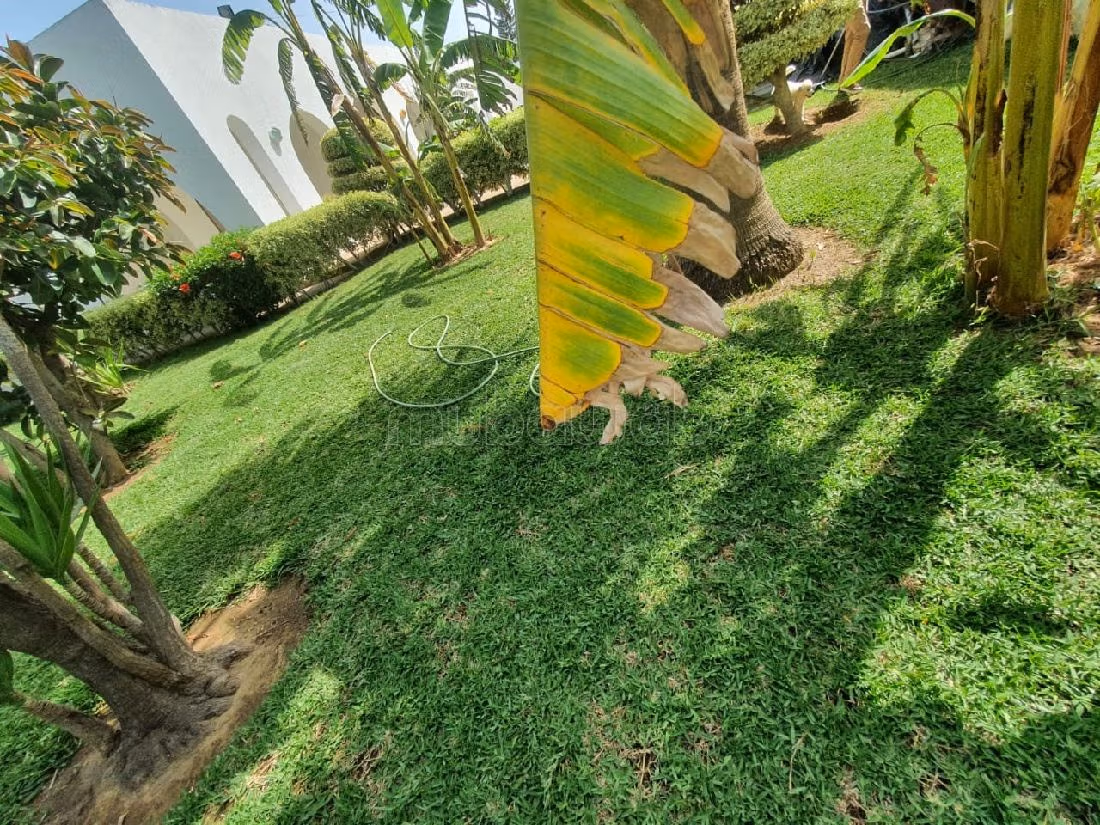 Une villa plein pied S9