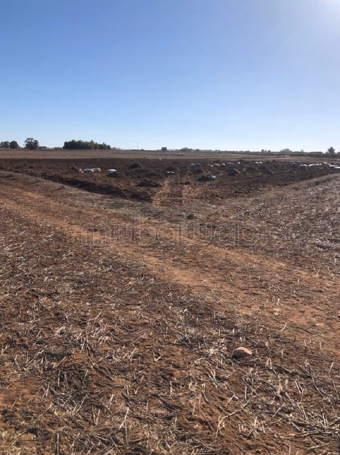 Kopen: land. Totale oppervlakte 2384 m²