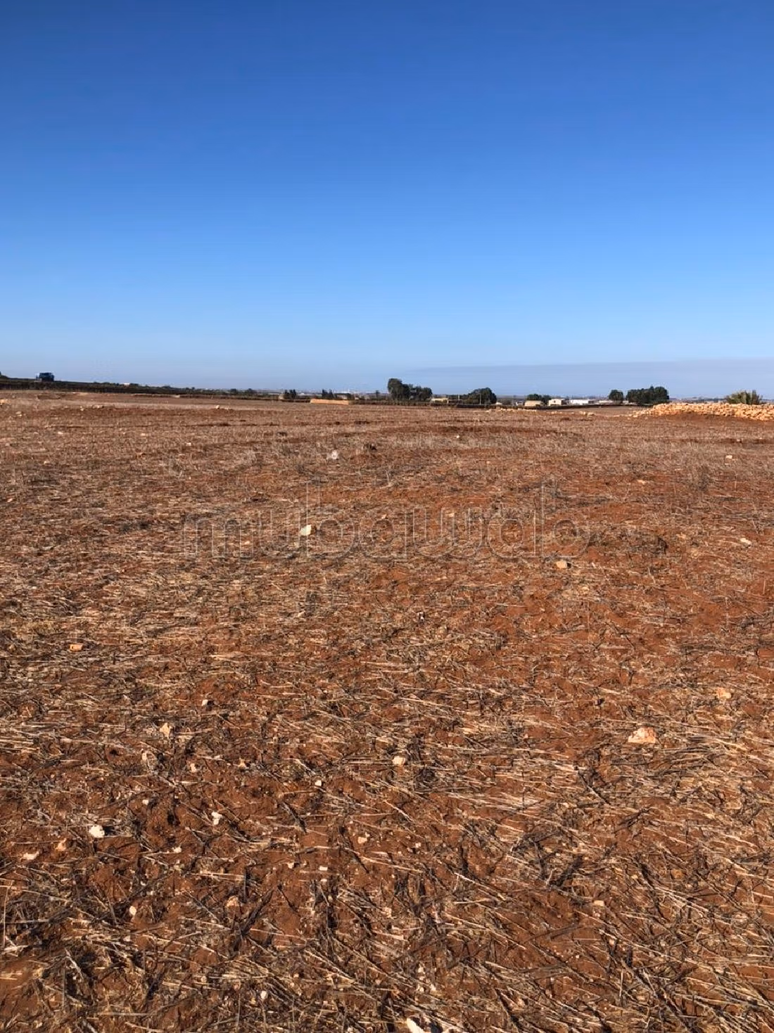 Kopen: land. Totale oppervlakte 2384 m²