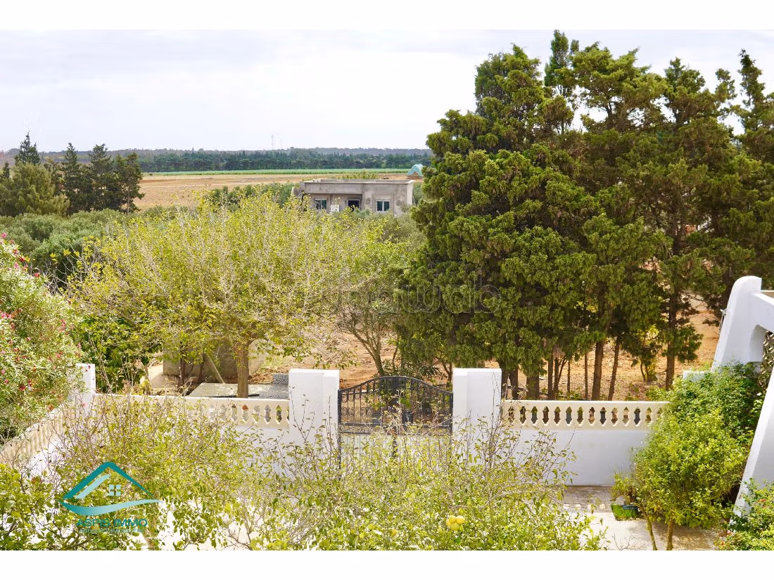 Land for sale. Area 11000 m². 