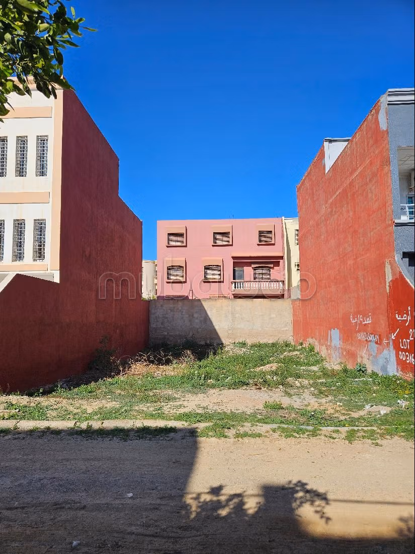 أرض للشراء بالسعيدية. المساحة الكلية 215 م². 