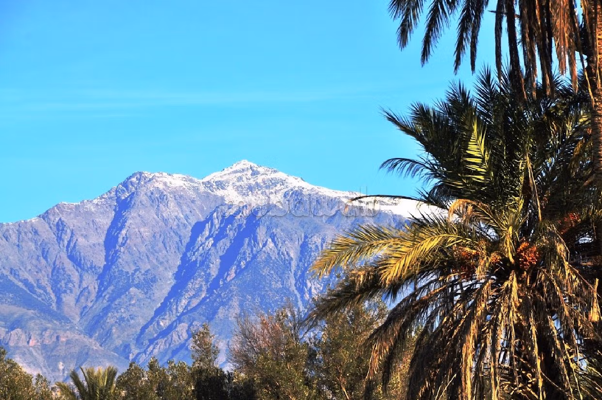 À vendre Maison d’hôtes Riad avec piscine