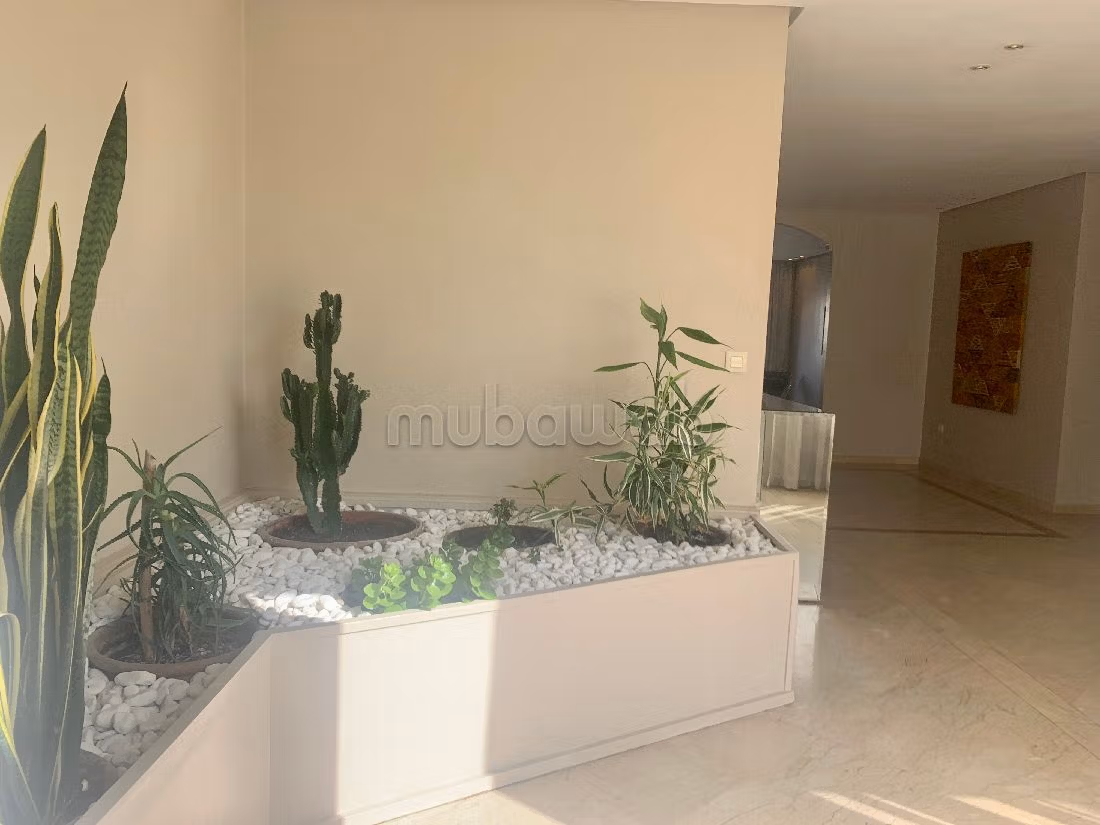 Superbe appart MEUBLE avec TERRASSE