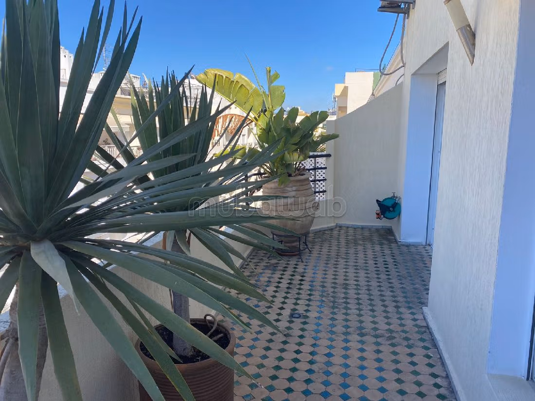 Superbe appart MEUBLE avec TERRASSE