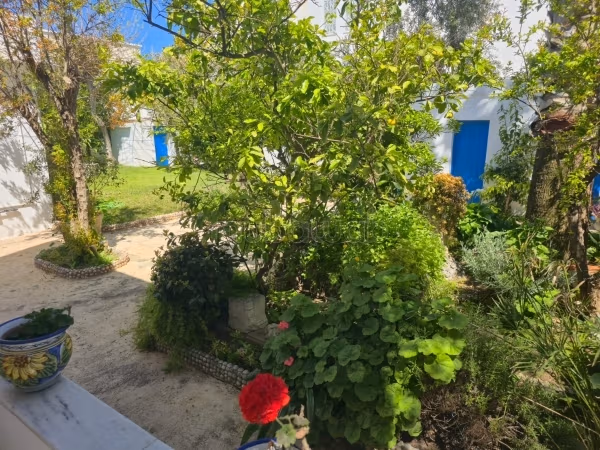 Affitta la tua casa a La Marsa. 4 locali spaziosi. Arredato