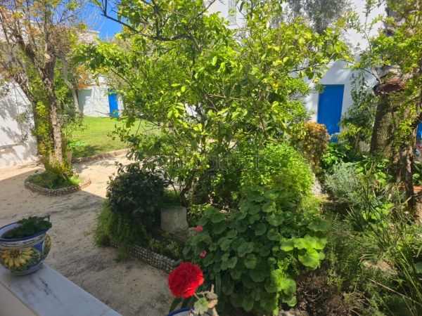 Villa de style colonial à la Marsa