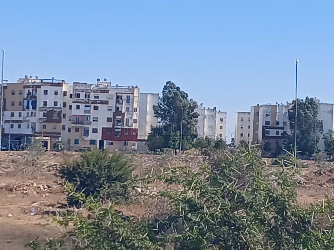 Vente terrain loti à Assam kénitra