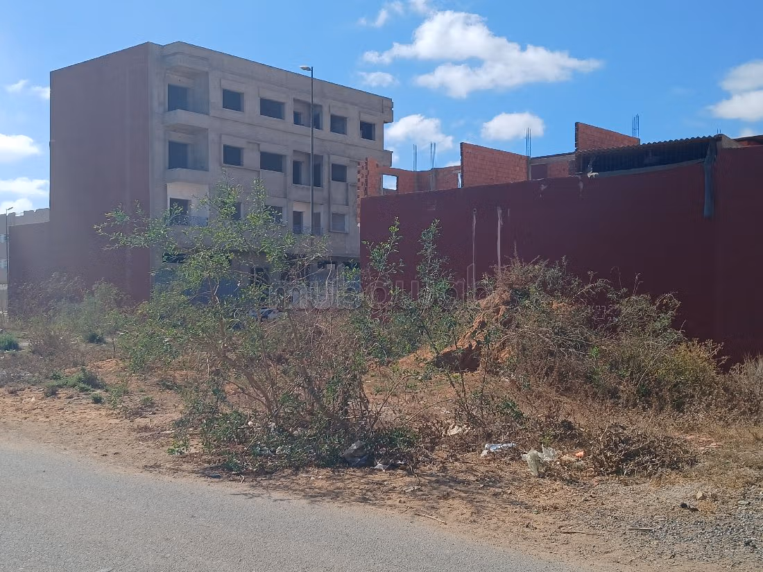 Vente terrain loti à Assam kénitra