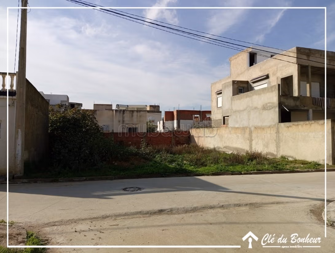 À vendre un beau à raoued