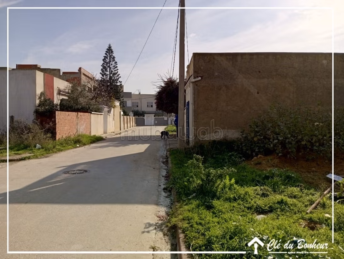 À vendre un beau à raoued
