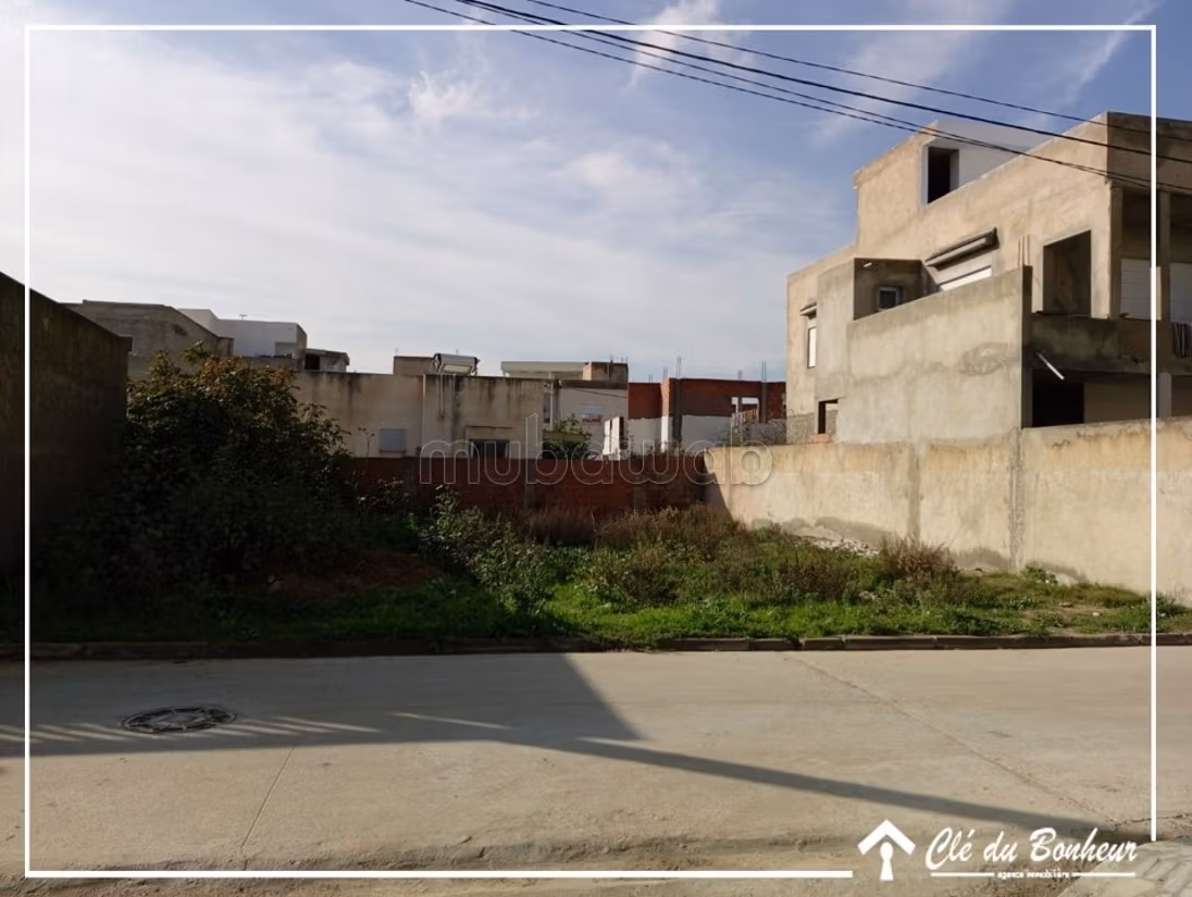 À vendre un beau à raoued