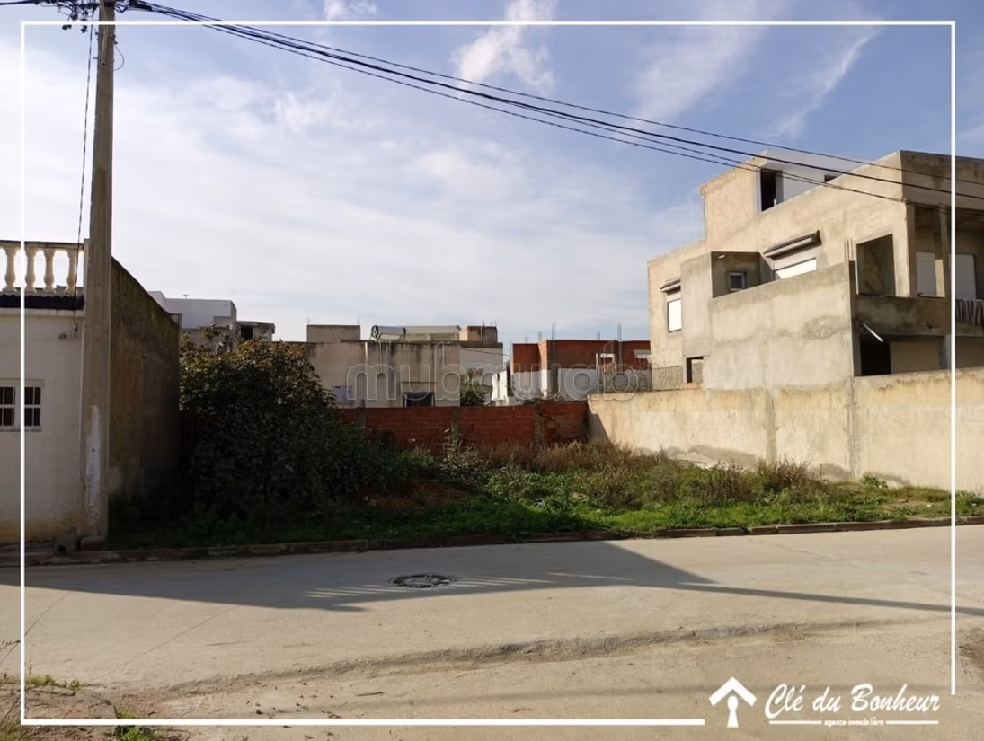 À vendre un beau à raoued