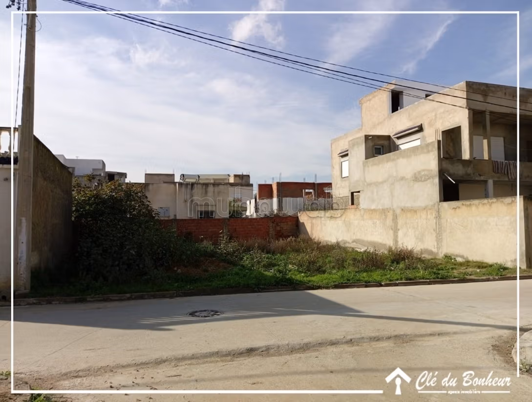 À vendre un beau à raoued