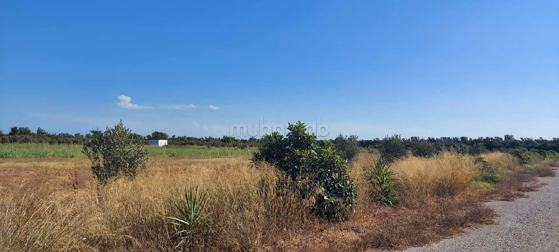 Land for sale. Surface area 62000 m²