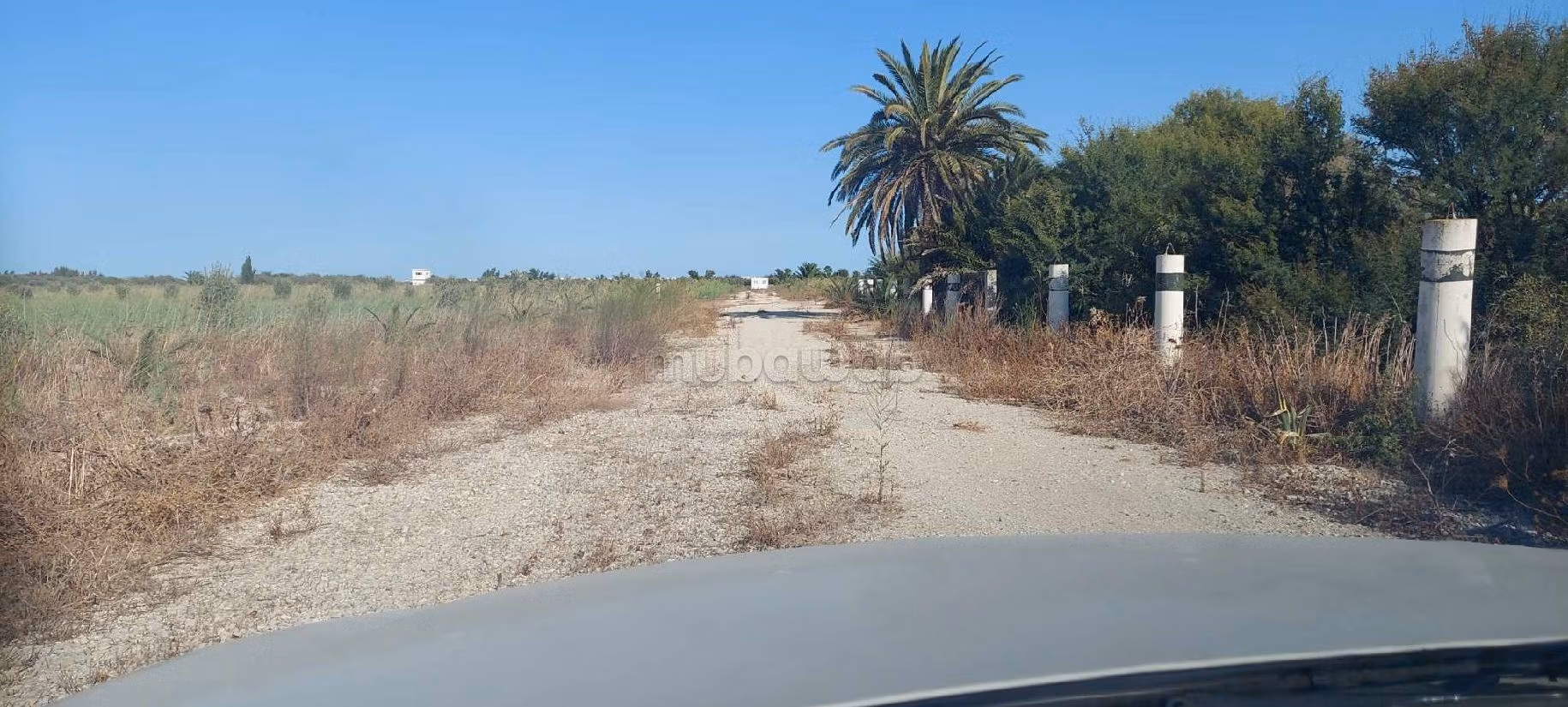 Land for sale. Surface area 62000 m²