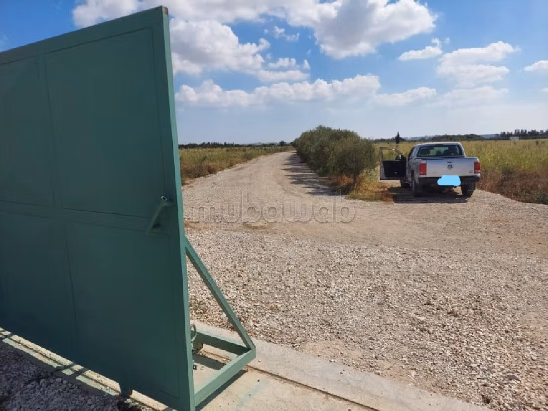 Land for sale. Surface area 62000 m²