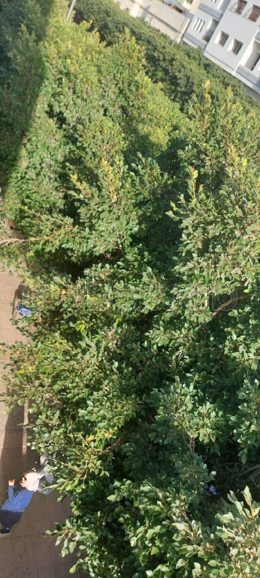 Offices for rent in Mellah. Large area 95 m². Lift