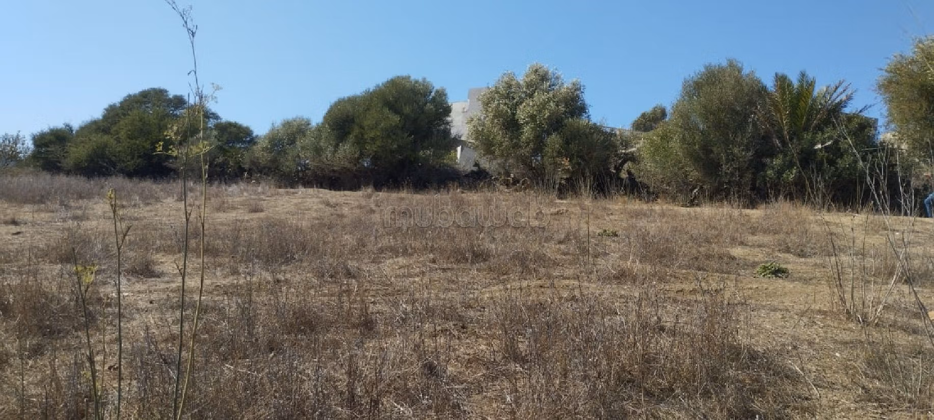 Venta de terreno en Al Amal. Area 7891 m². 