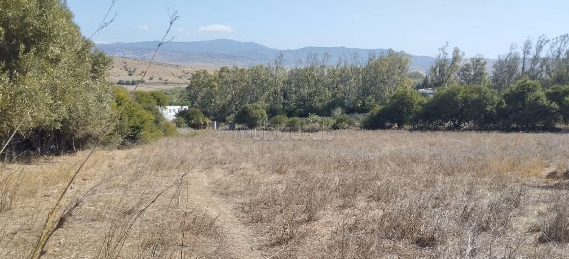 Venta de terreno en Al Amal. Area 7891 m². 