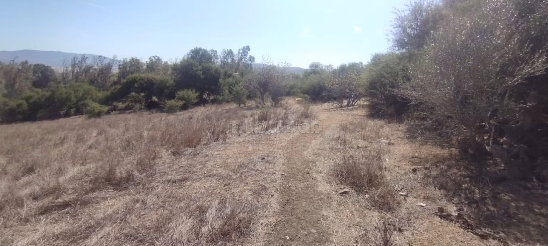 Venta de terreno en Al Amal. Area 7891 m². 