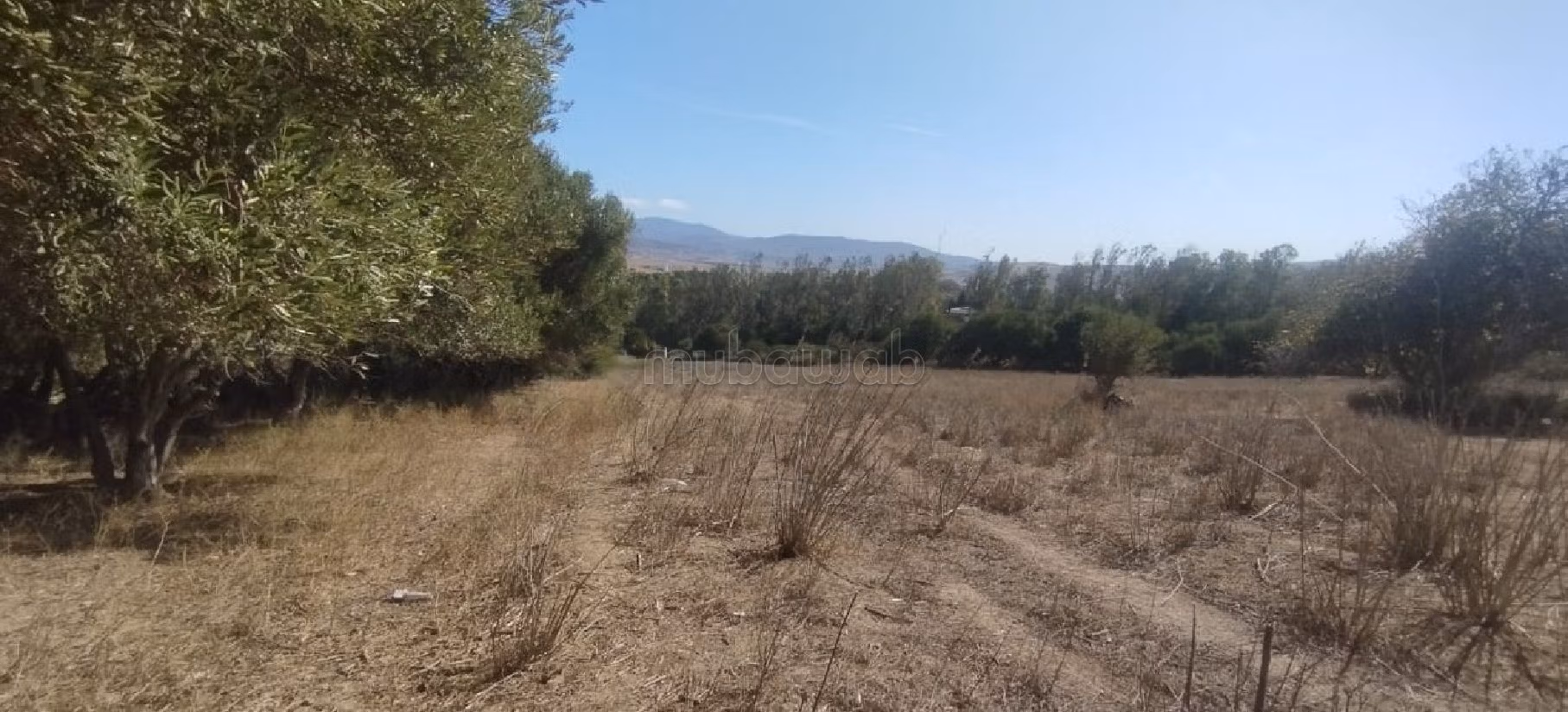 Venta de terreno en Al Amal. Area 7891 m². 