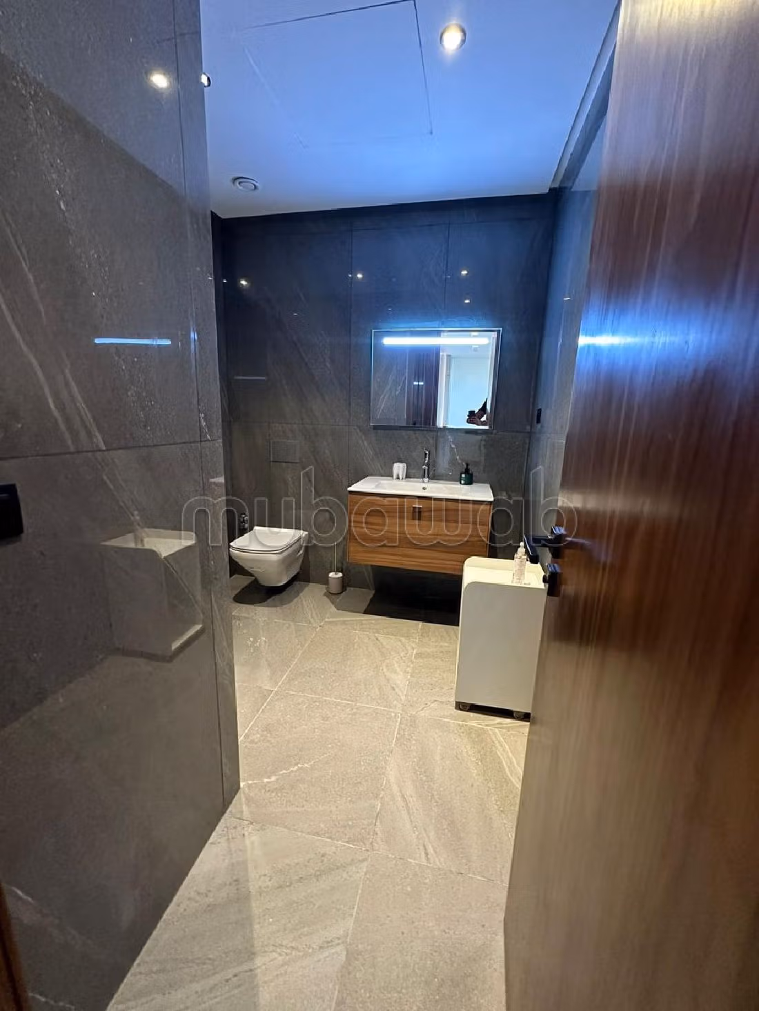 Very nice apartment for rent in Casablanca Finance City. 1 room. Ample storage space. 