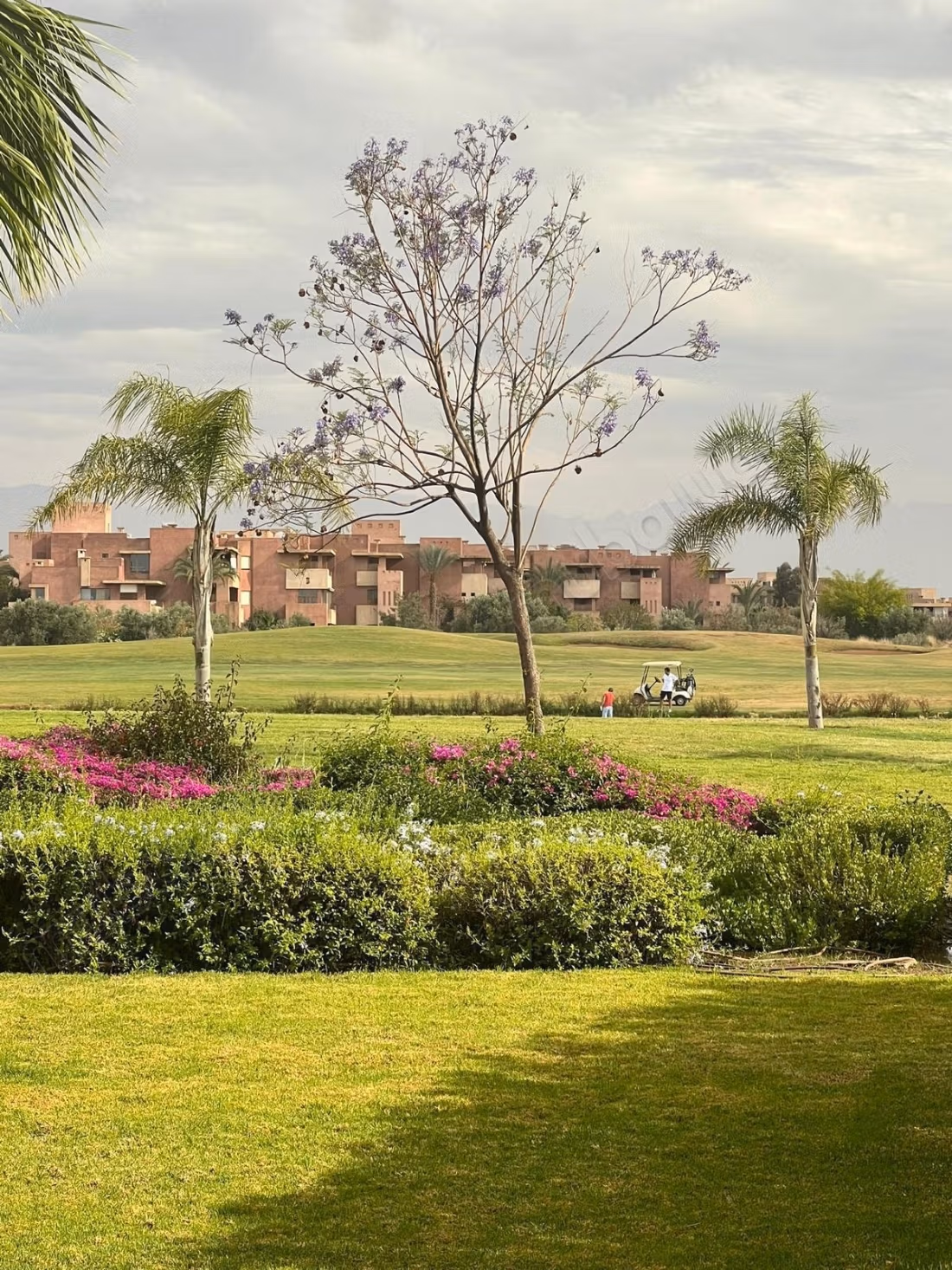 Ground Floor 3 Bedroom Apartment in Prestigia