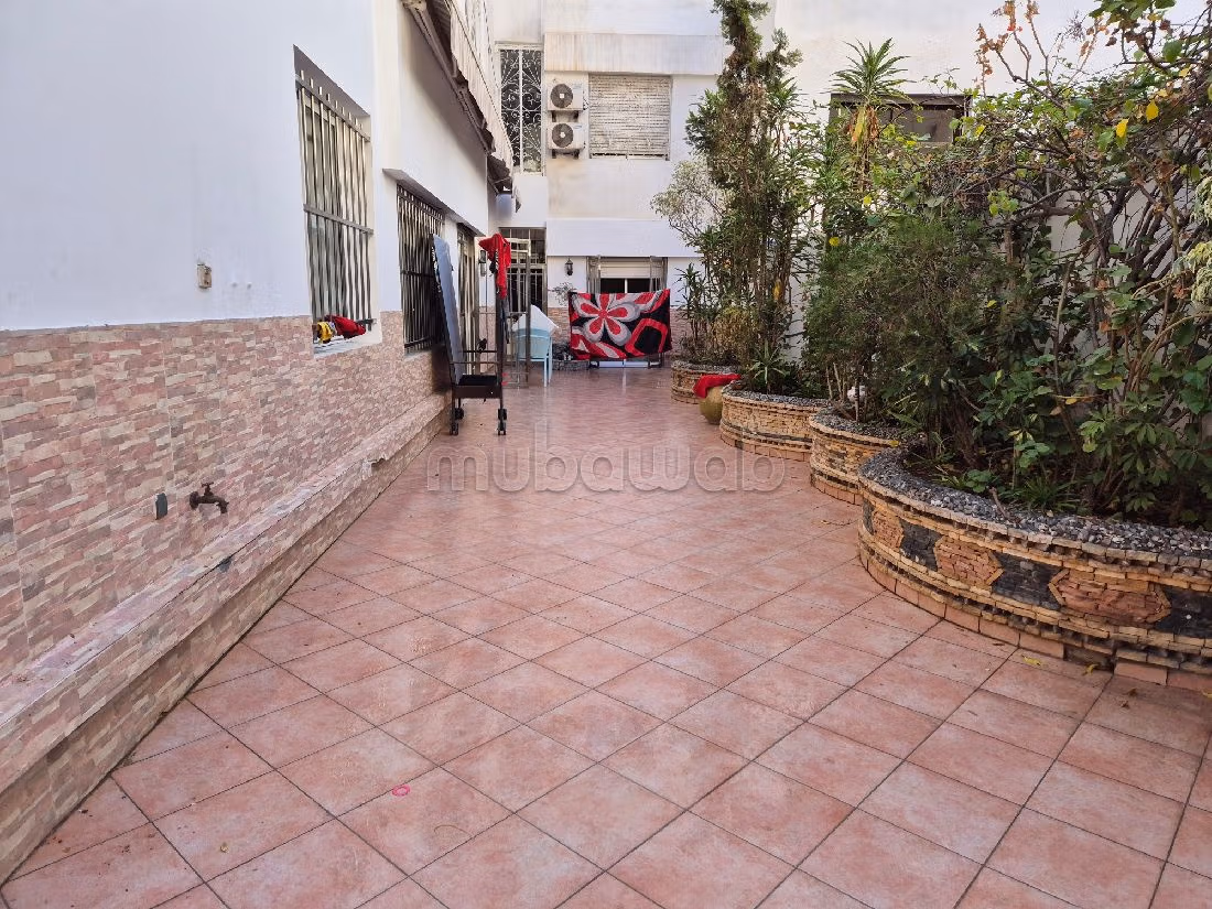 Bonito piso en alquiler en Racine. 3 dormitorios. está amueblado con buen gusto. 