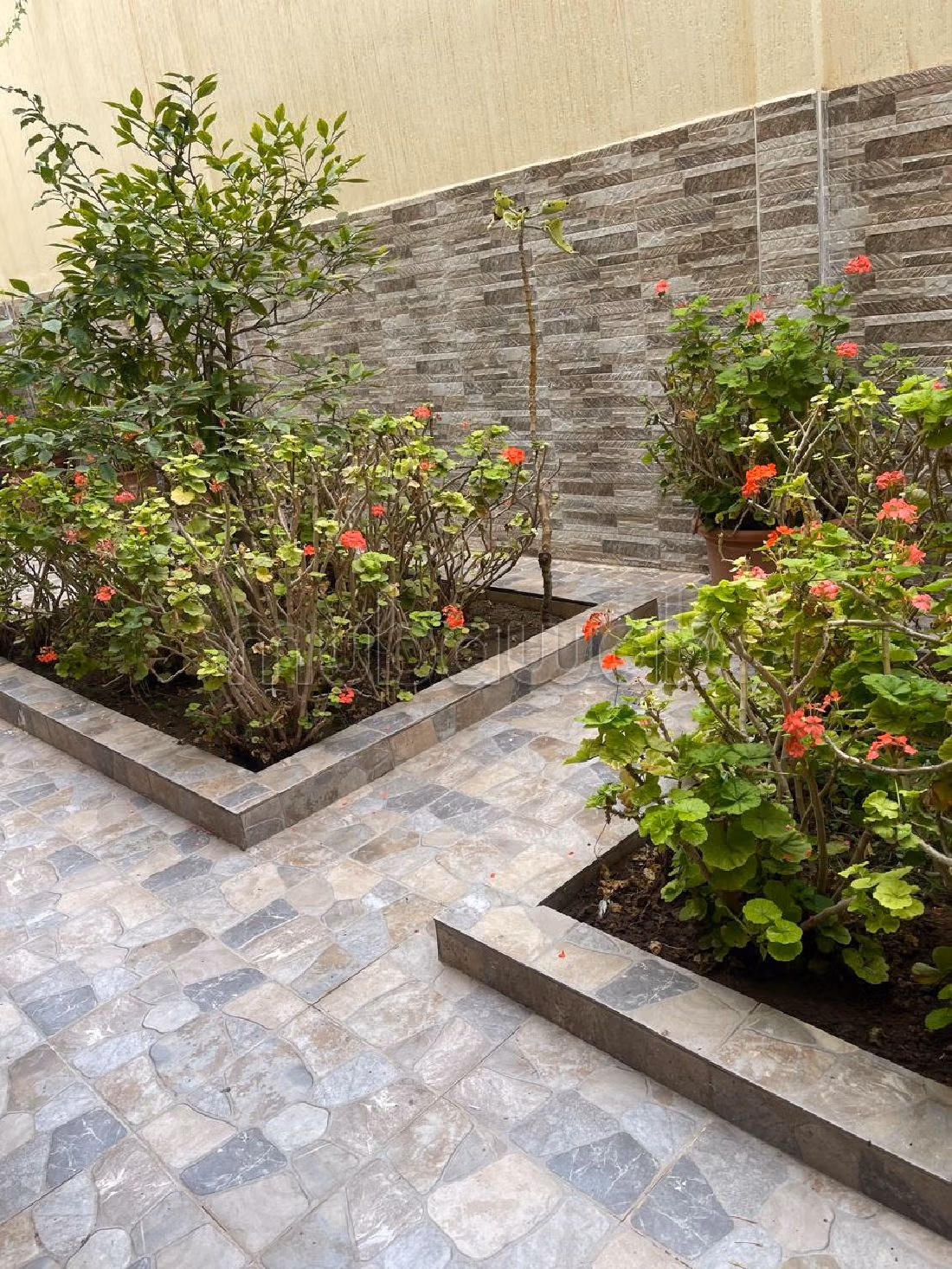 كراء فيلا ممتازة ب فونتي العليا. 3 غرف. شرفة رائعة. 