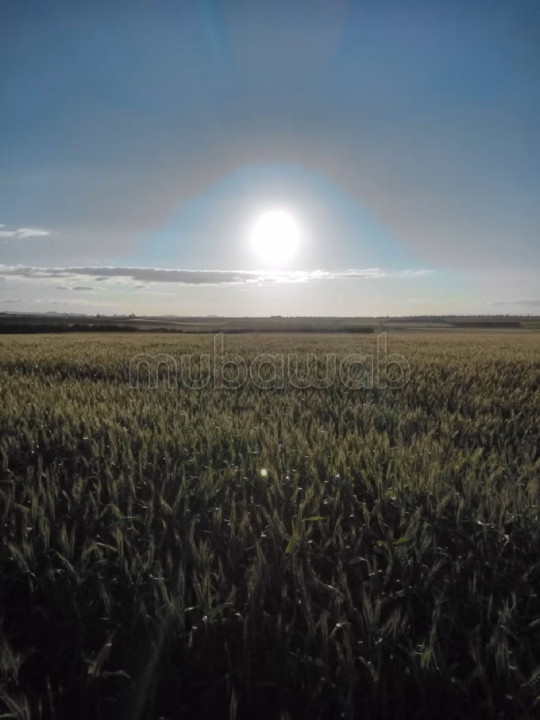 مزرعة رائعة للبيع بالحاجب