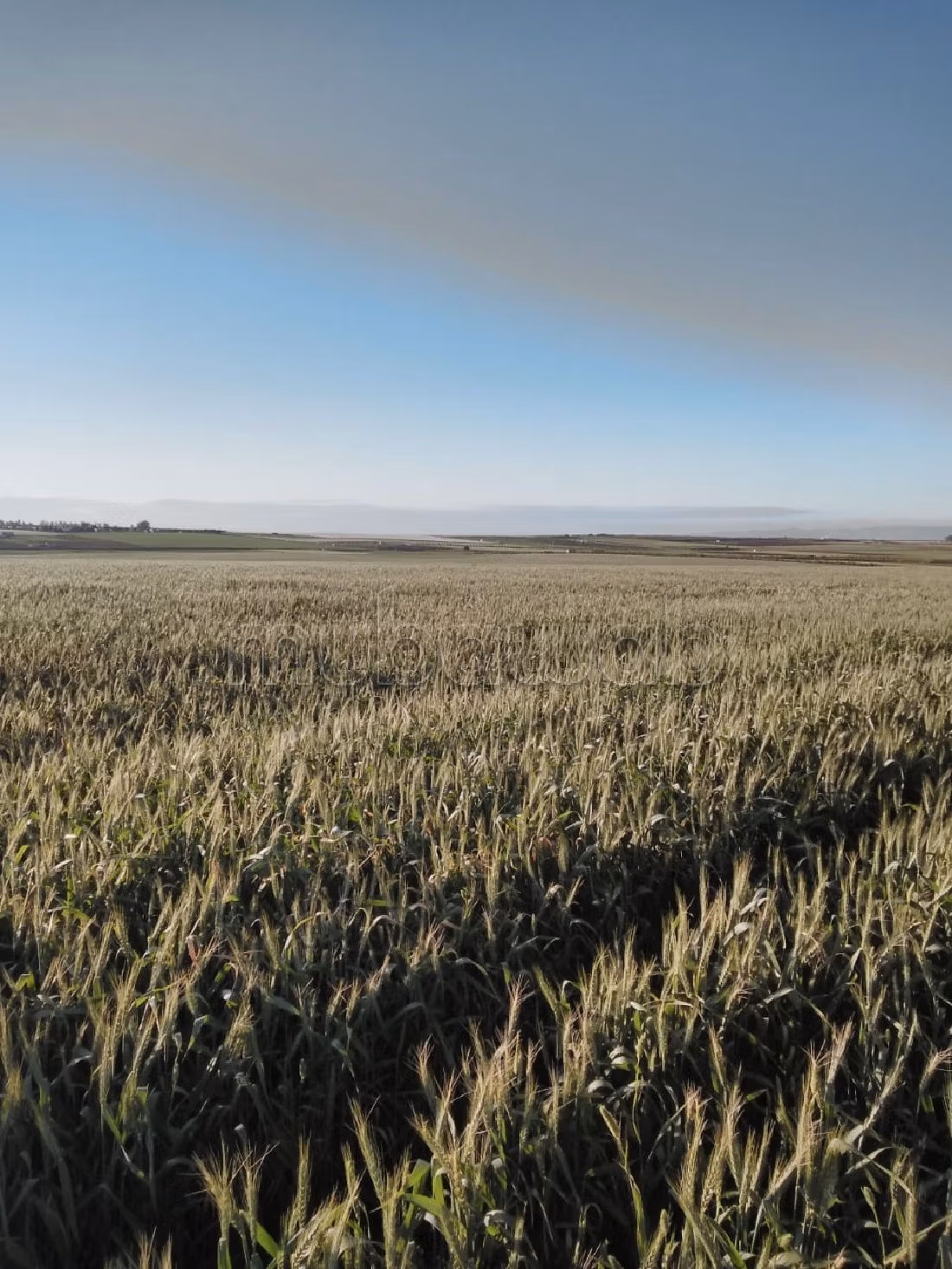 مزرعة رائعة للبيع بالحاجب