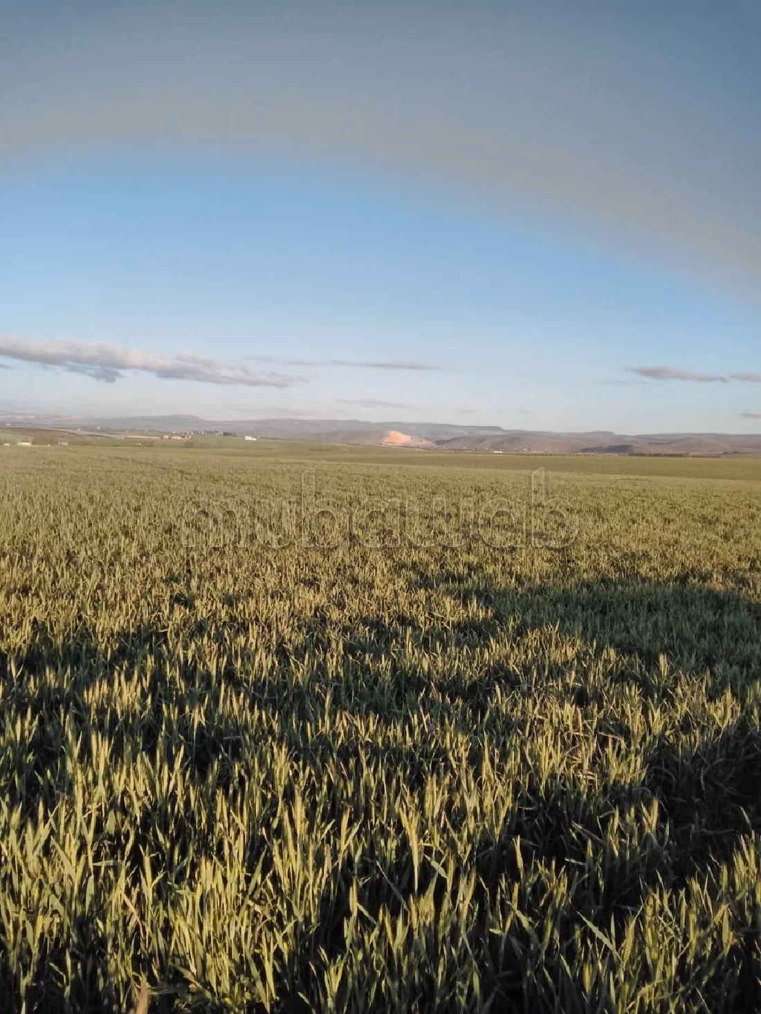 مزرعة رائعة للبيع بالحاجب