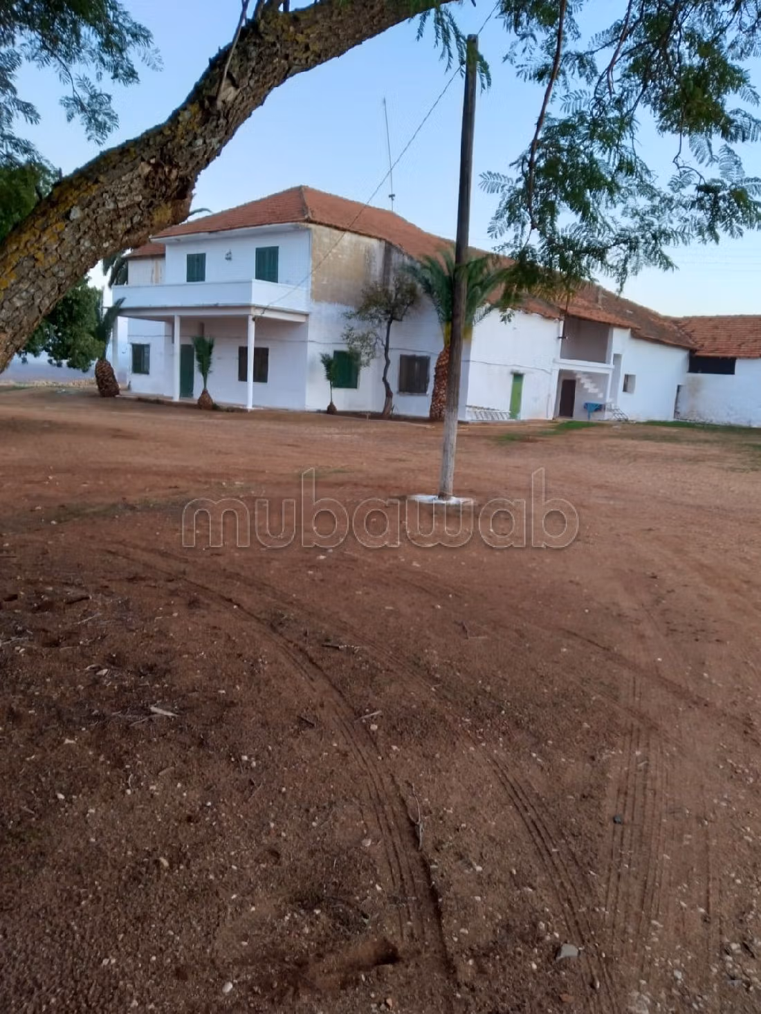 مزرعة رائعة للبيع بالحاجب