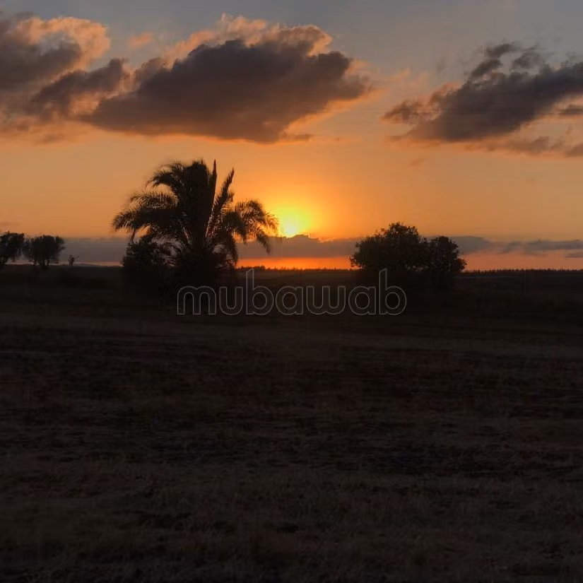 مزرعة رائعة للبيع بالحاجب