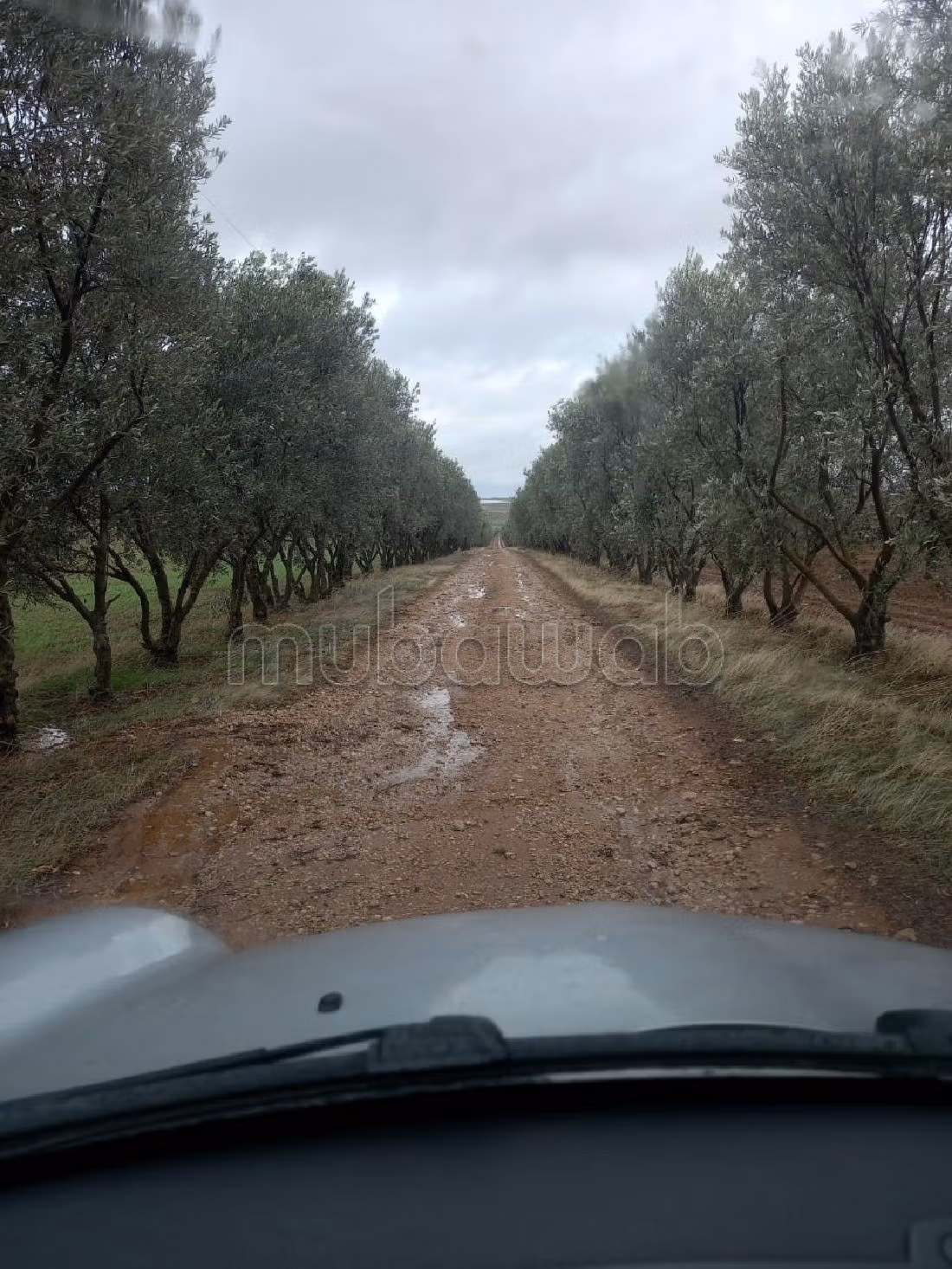 مزرعة رائعة للبيع بالحاجب