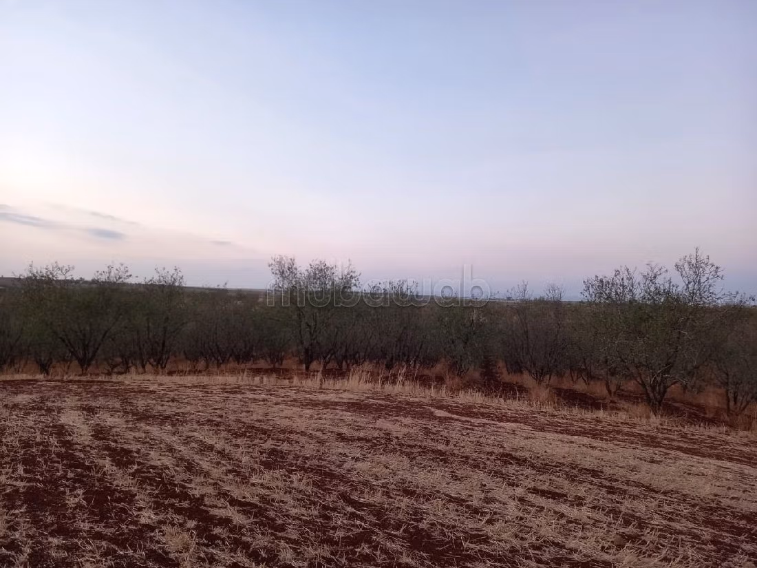 مزرعة رائعة للبيع بالحاجب