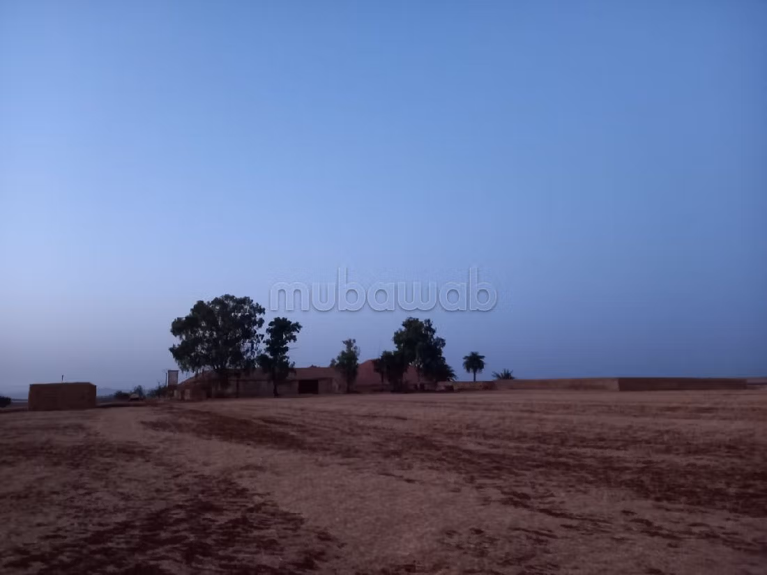 مزرعة رائعة للبيع بالحاجب