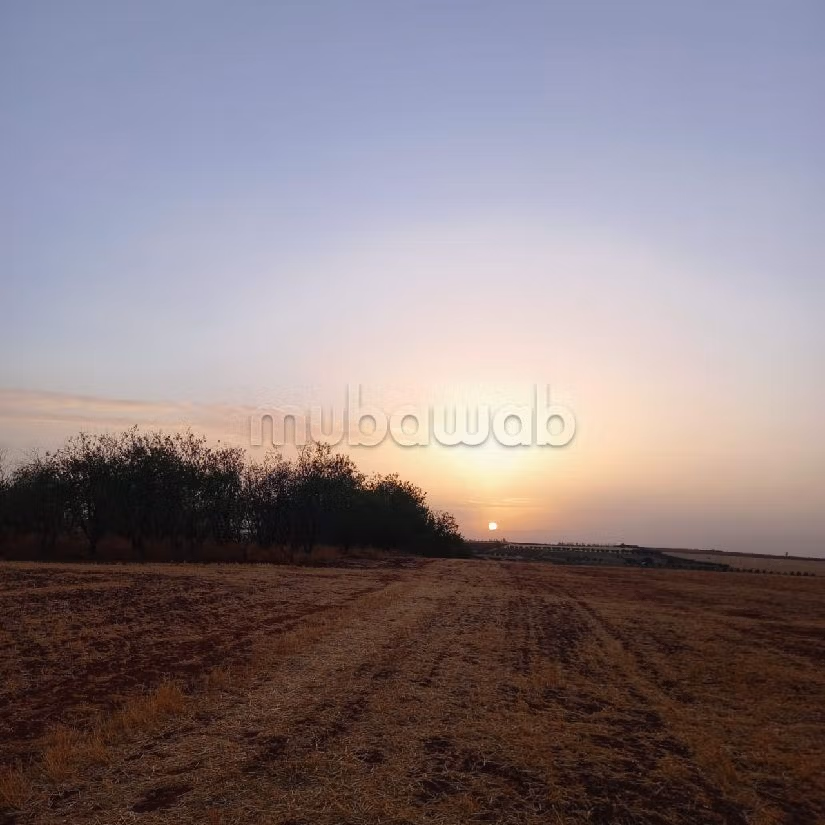 مزرعة رائعة للبيع بالحاجب