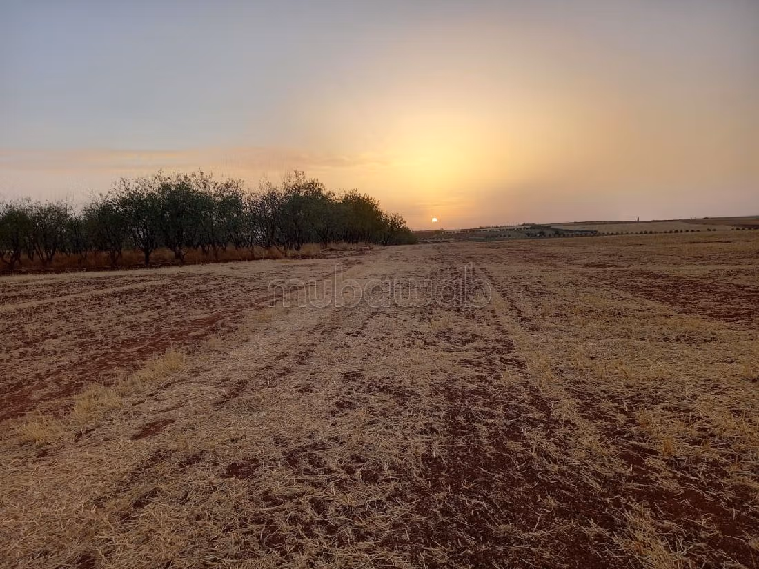 مزرعة رائعة للبيع بالحاجب