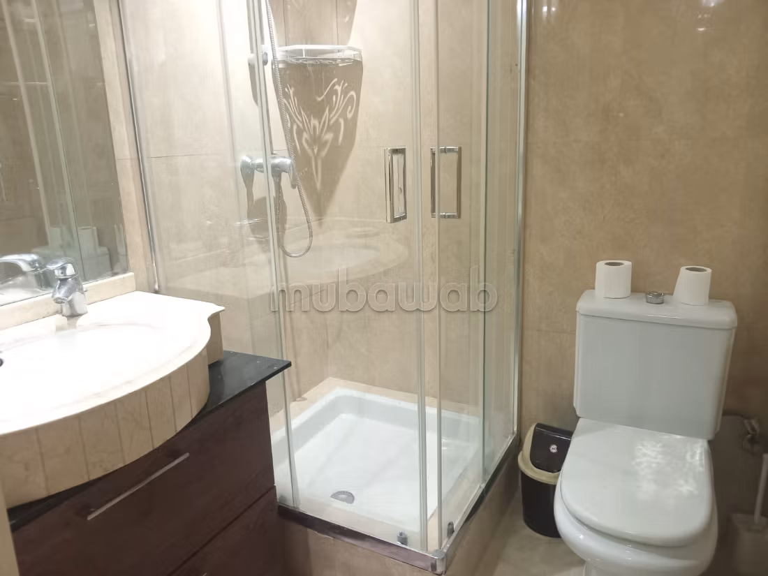 Find an apartment for rent in Gauthier. 2 comfortable rooms. Beautiful terrace.