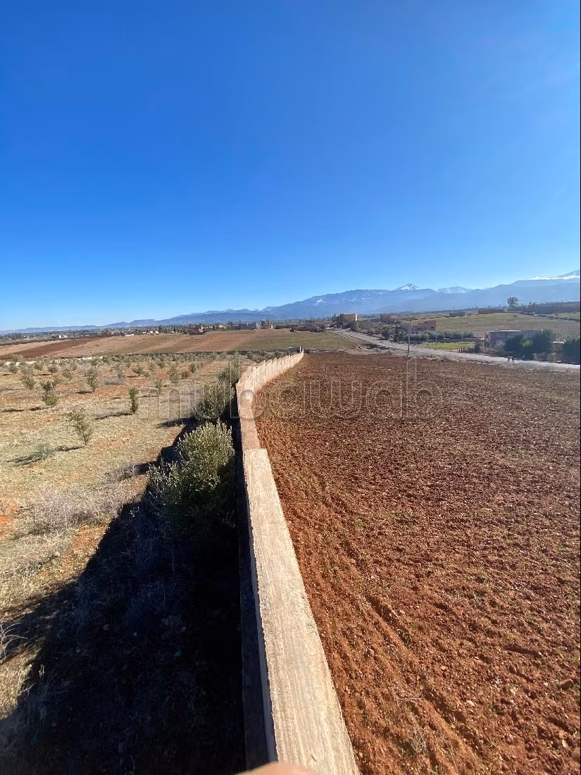 Terrain en vente à Route de Tahanaout. Superficie 33000 m²