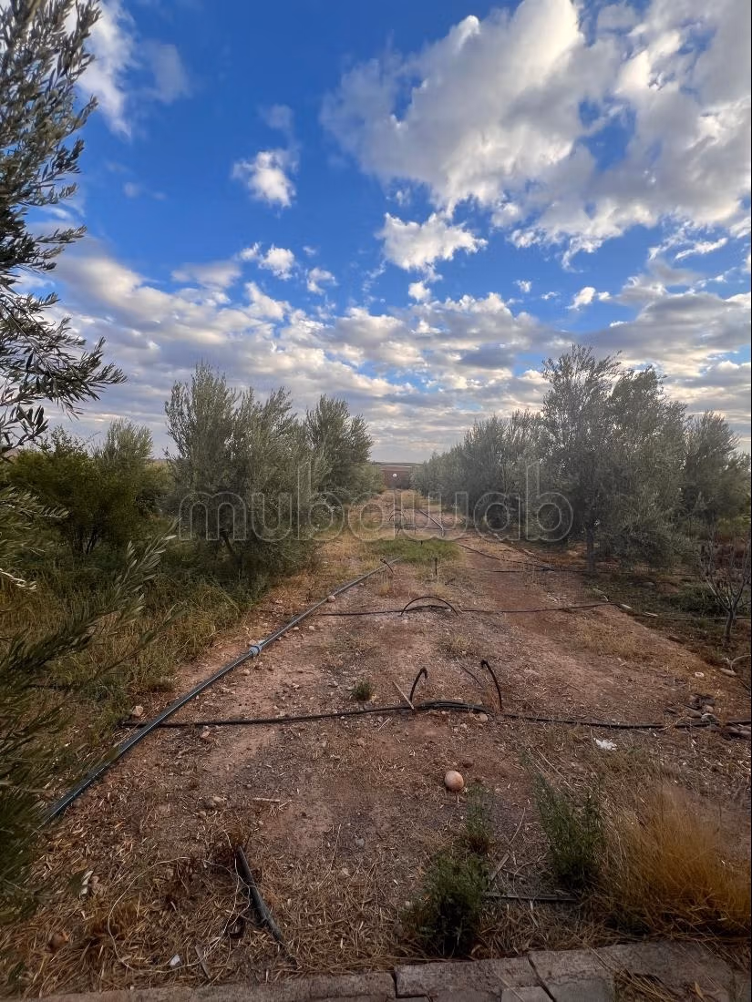 À Vendre: Terrain Route d’Agafay, Arboré d’Exception Idéal pour Projet d Vila