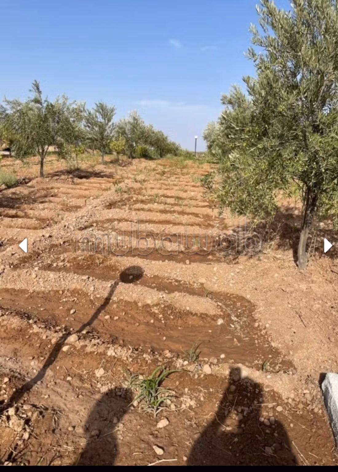 À Vendre: Terrain Route d’Agafay, Arboré d’Exception Idéal pour Projet d Vila