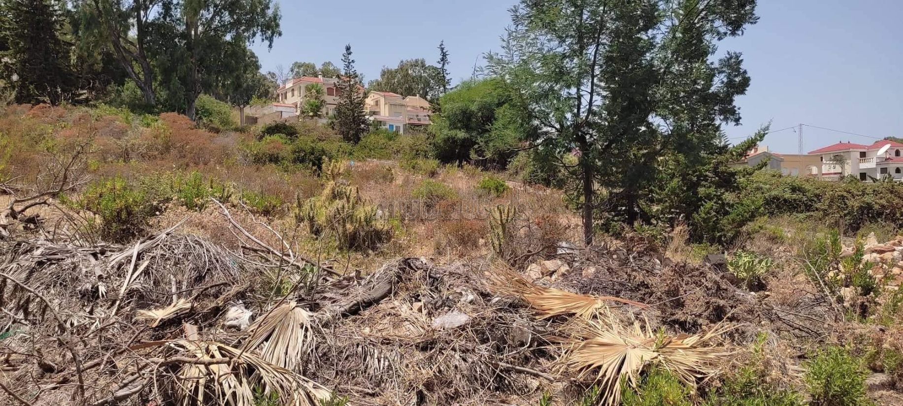 Terrain à vendre à Tabarka