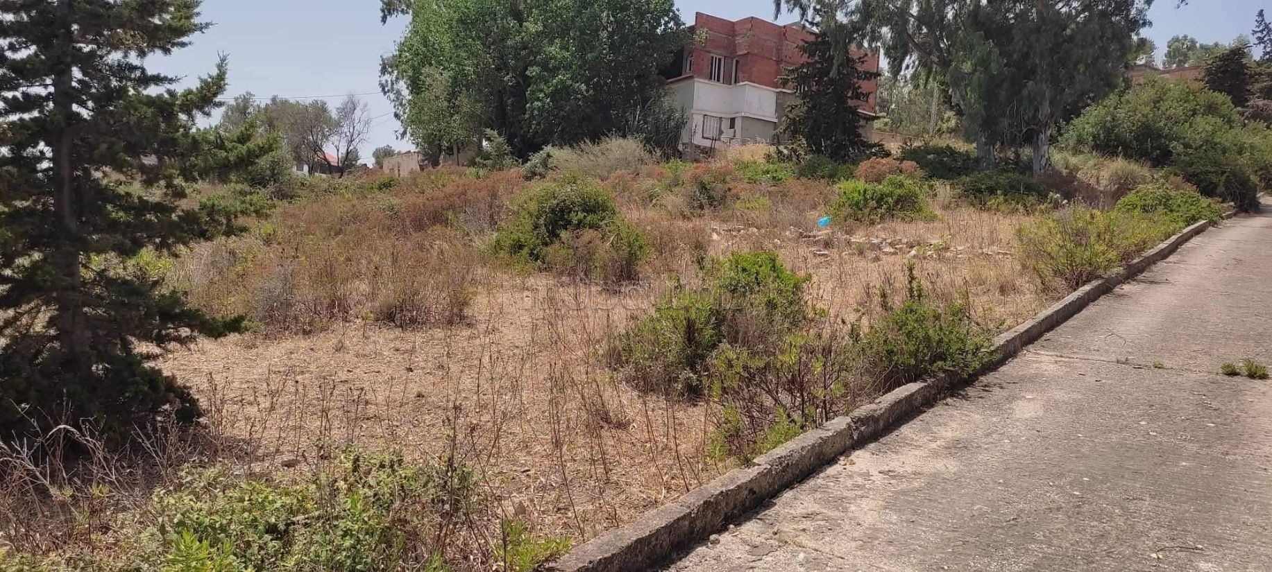 Terrain à vendre à Tabarka