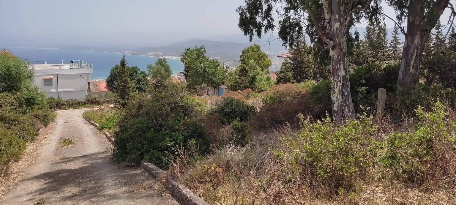 Terrain à vendre à Tabarka